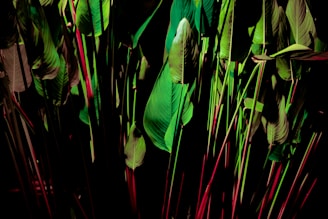 A vibrant tropical leaf with a futuristic neon glow, blending Caribbean nature with modern design.