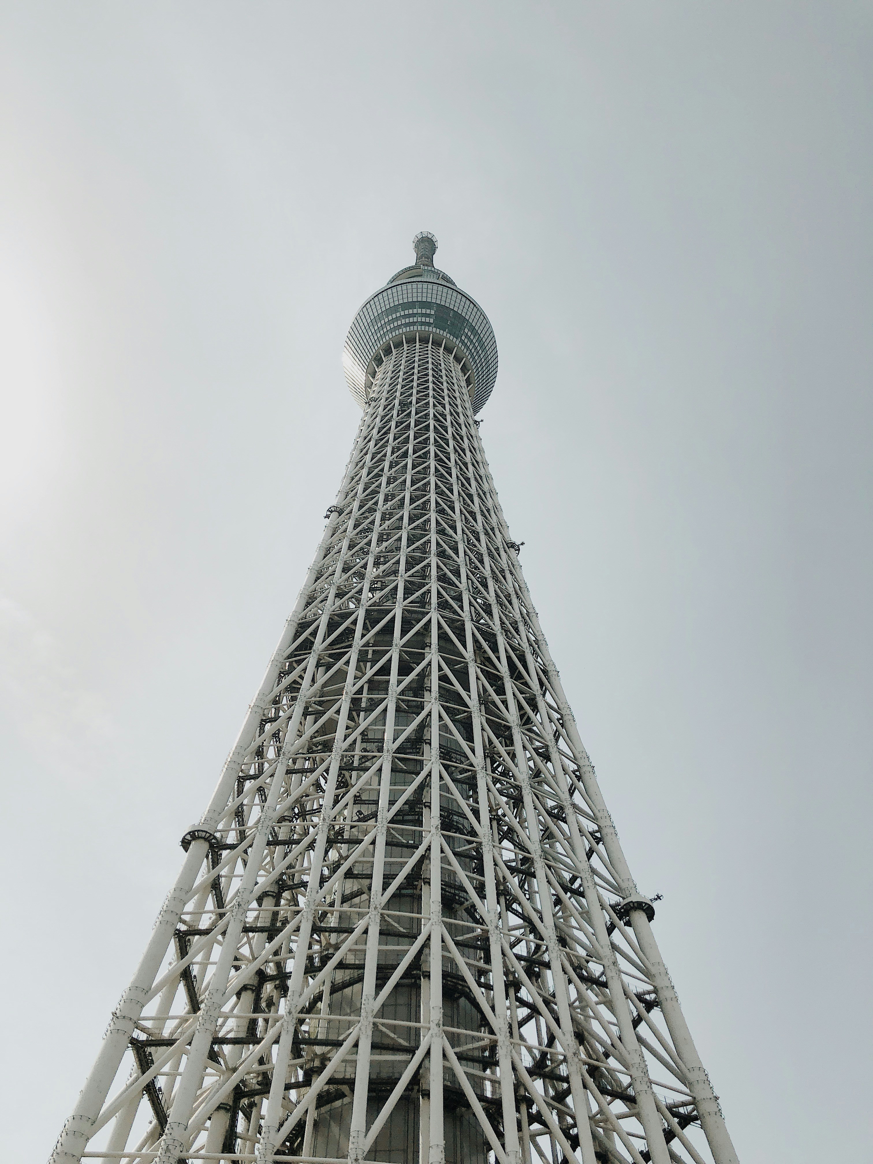 Photo by natashaongg