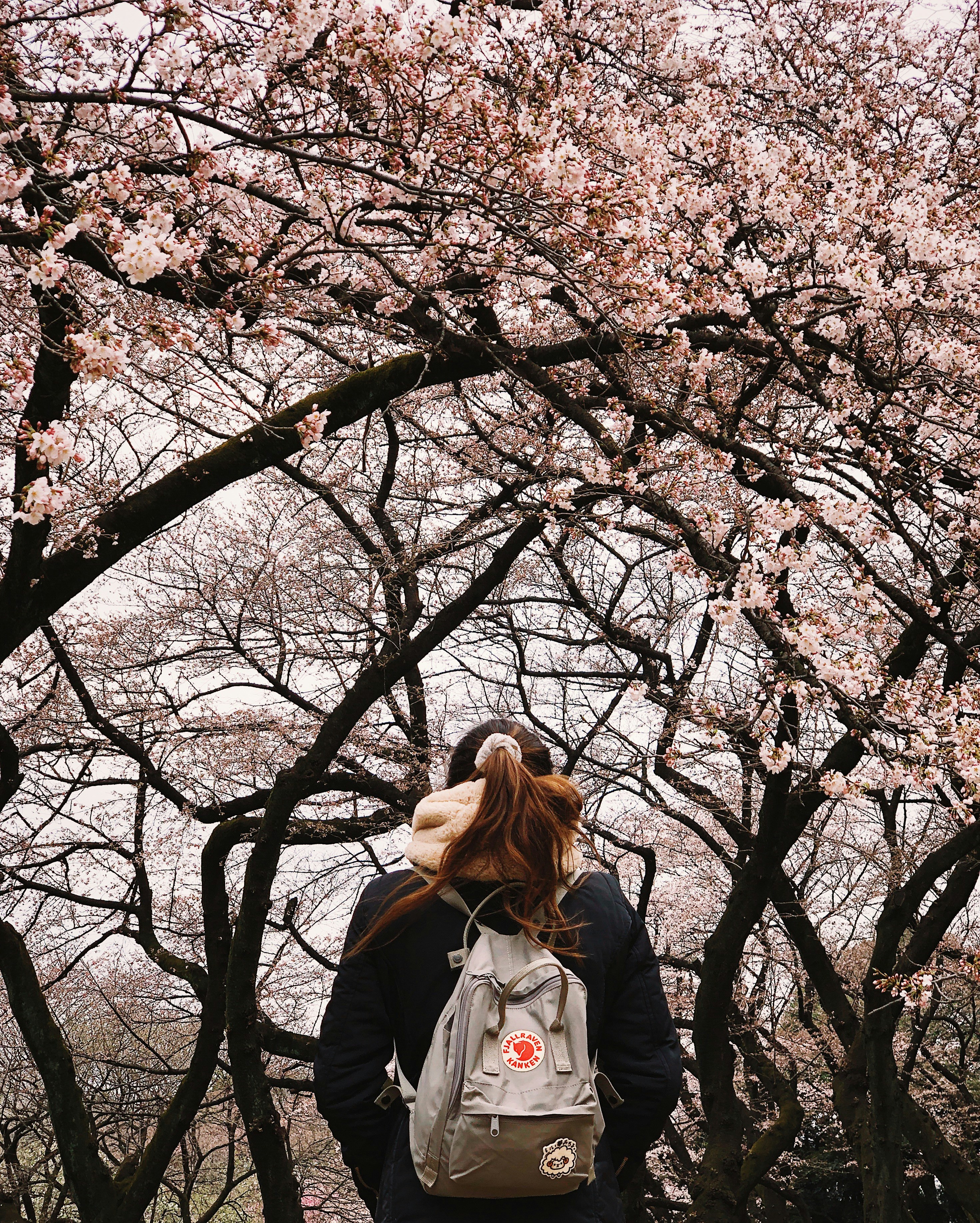 Photo by natashaongg