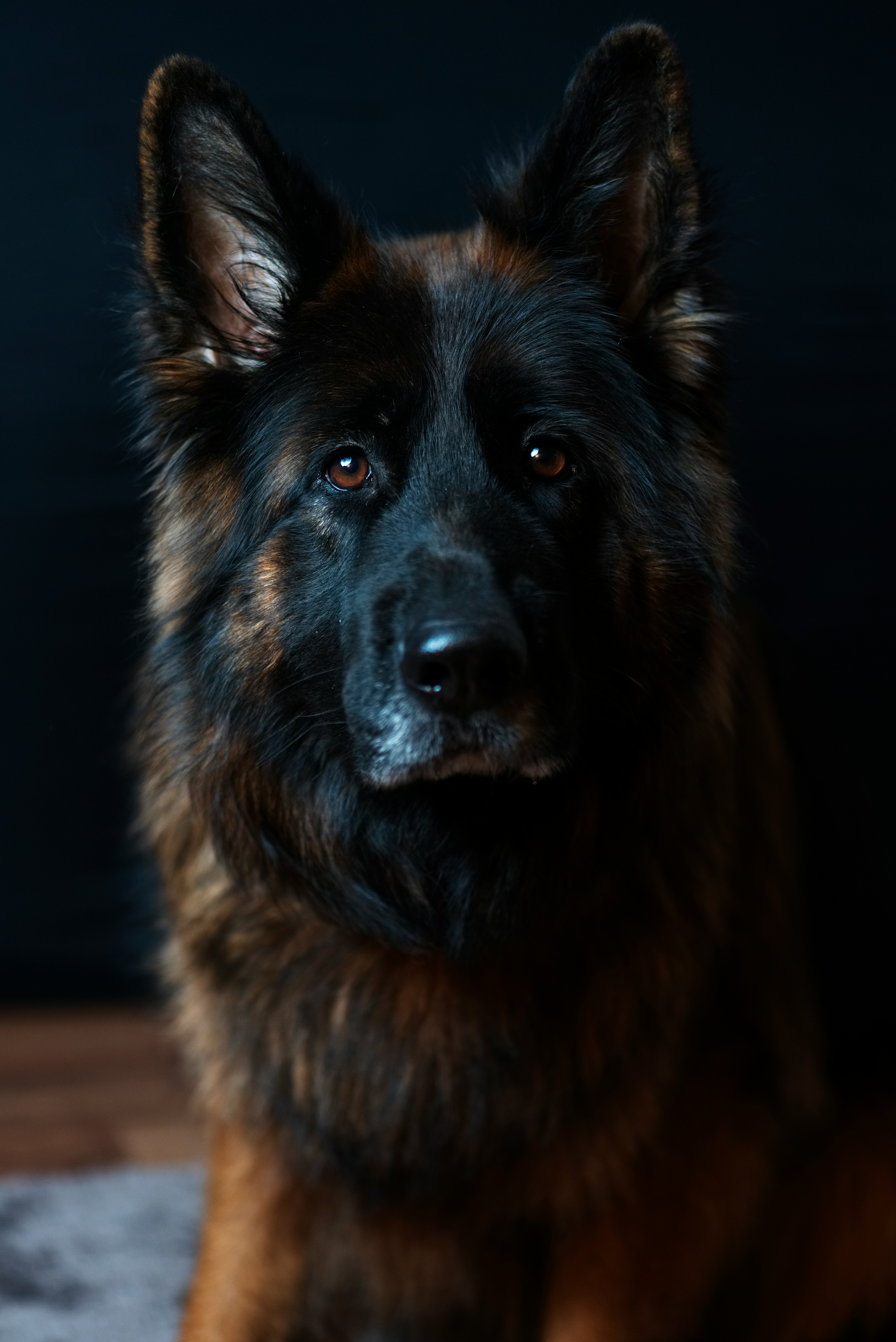 Sable