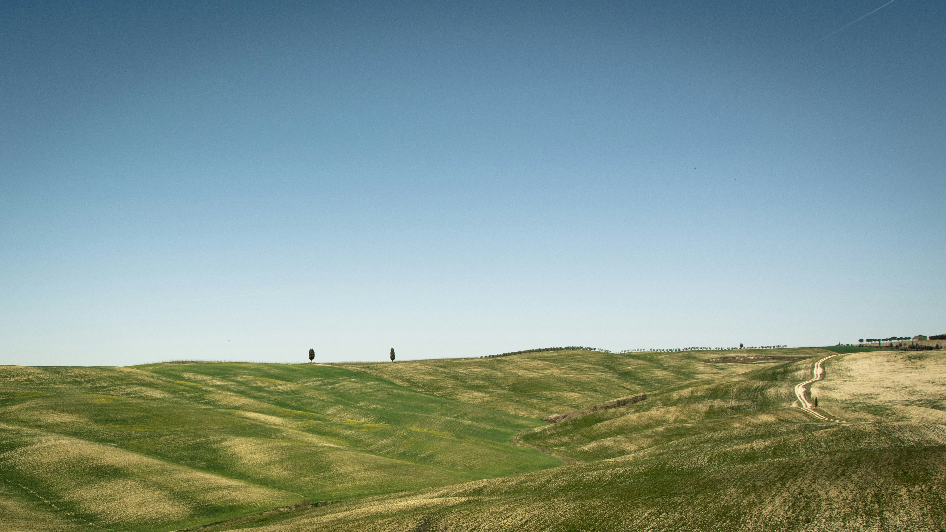 Photo by paolobendandi