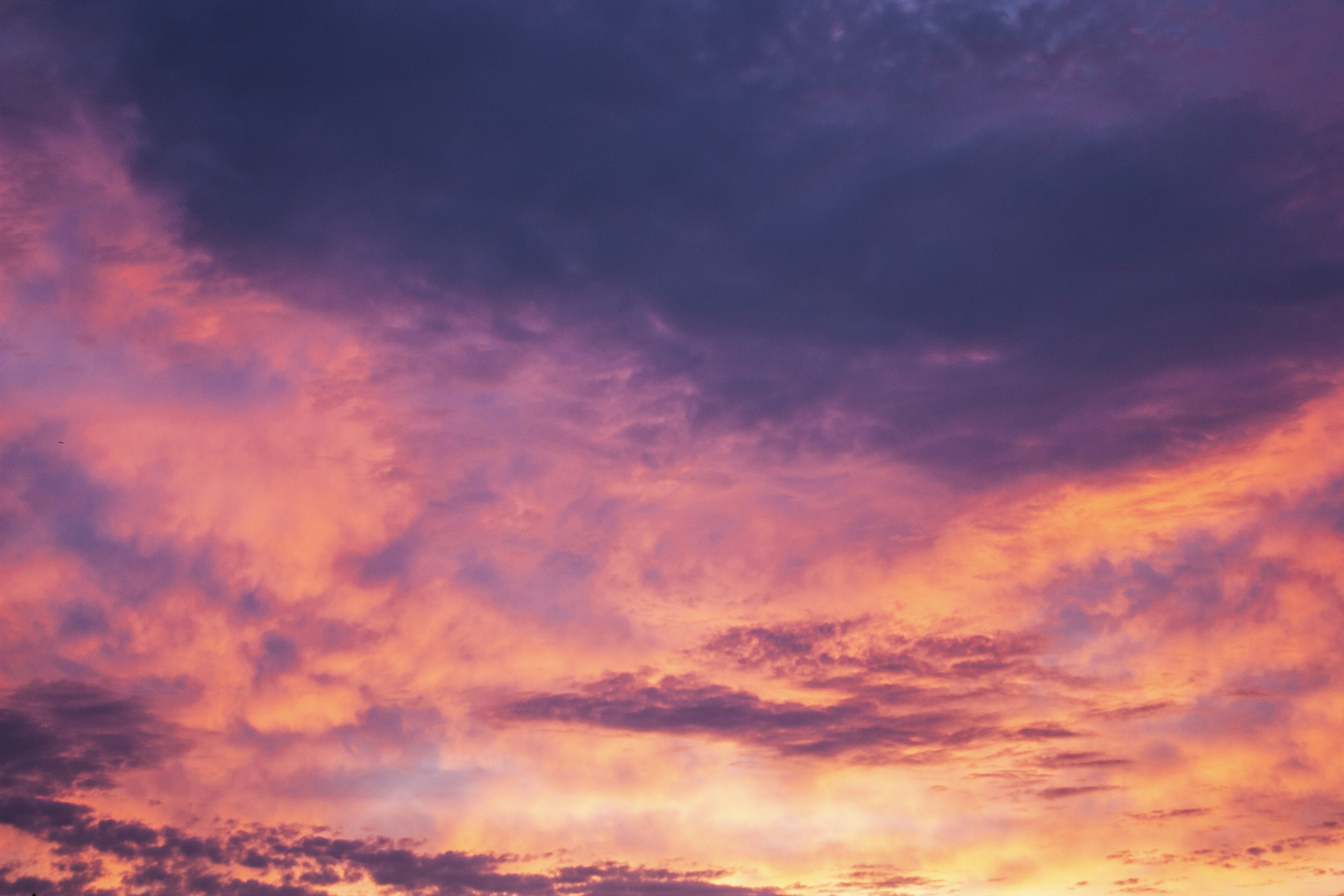 Photo by veronica_lopez