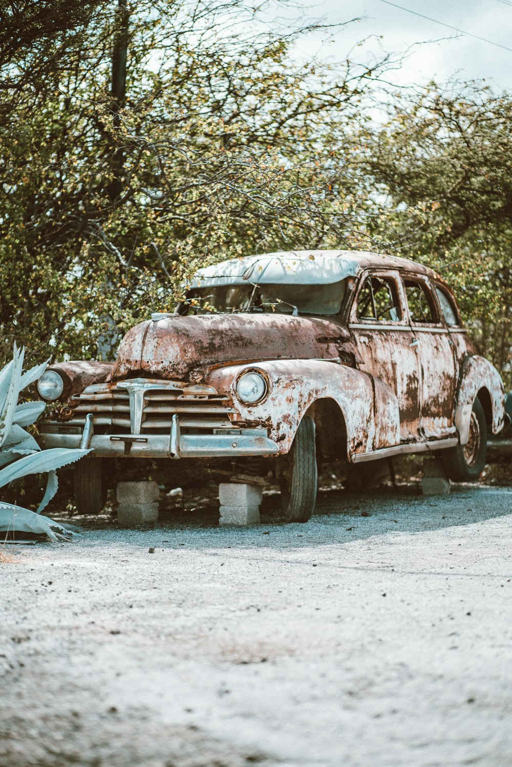 Voiture blanche vintage garée à côté d’un arbre vert