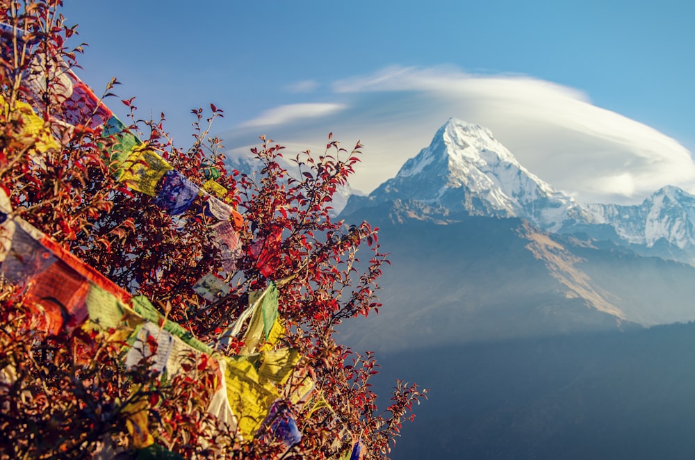 mountain covered with snow under cloudy sky