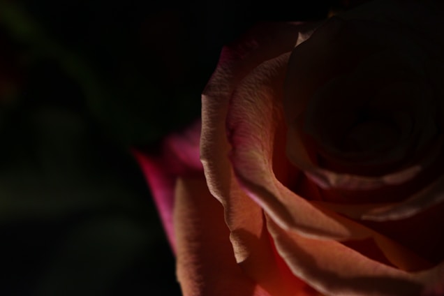 Close-up of a delicate silk rose bouquet with soft lighting highlighting the intricate petals.