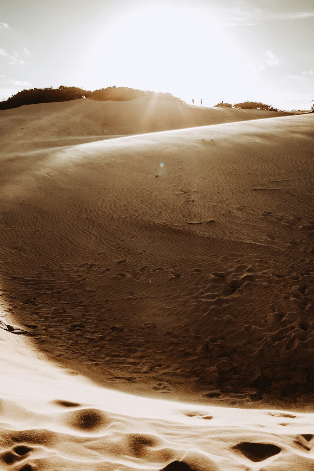 desert at dusk