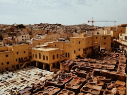 aerial photography of buildings