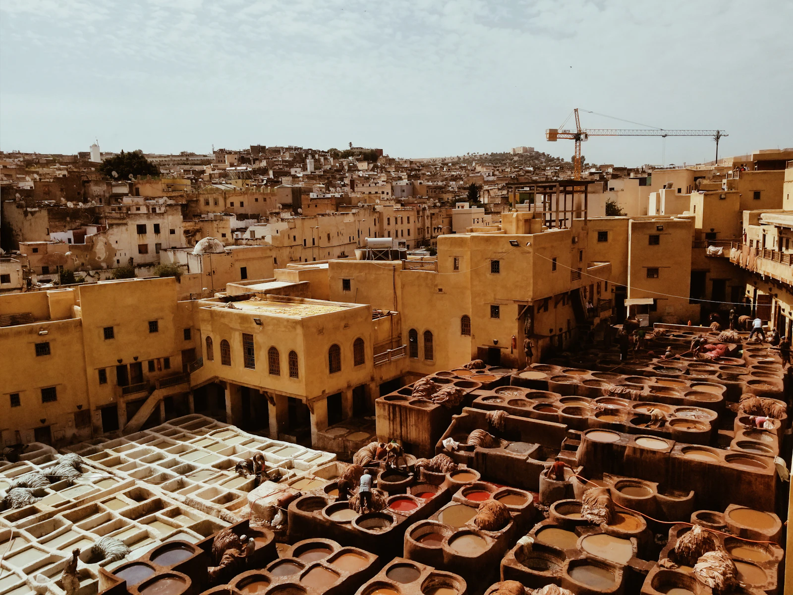The Chouara tannery’s stone dye pits, seen from a terrace above the Fes medina