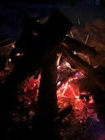 A close-up of a campfire with glowing embers.