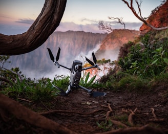 gray and black drone near tree roots