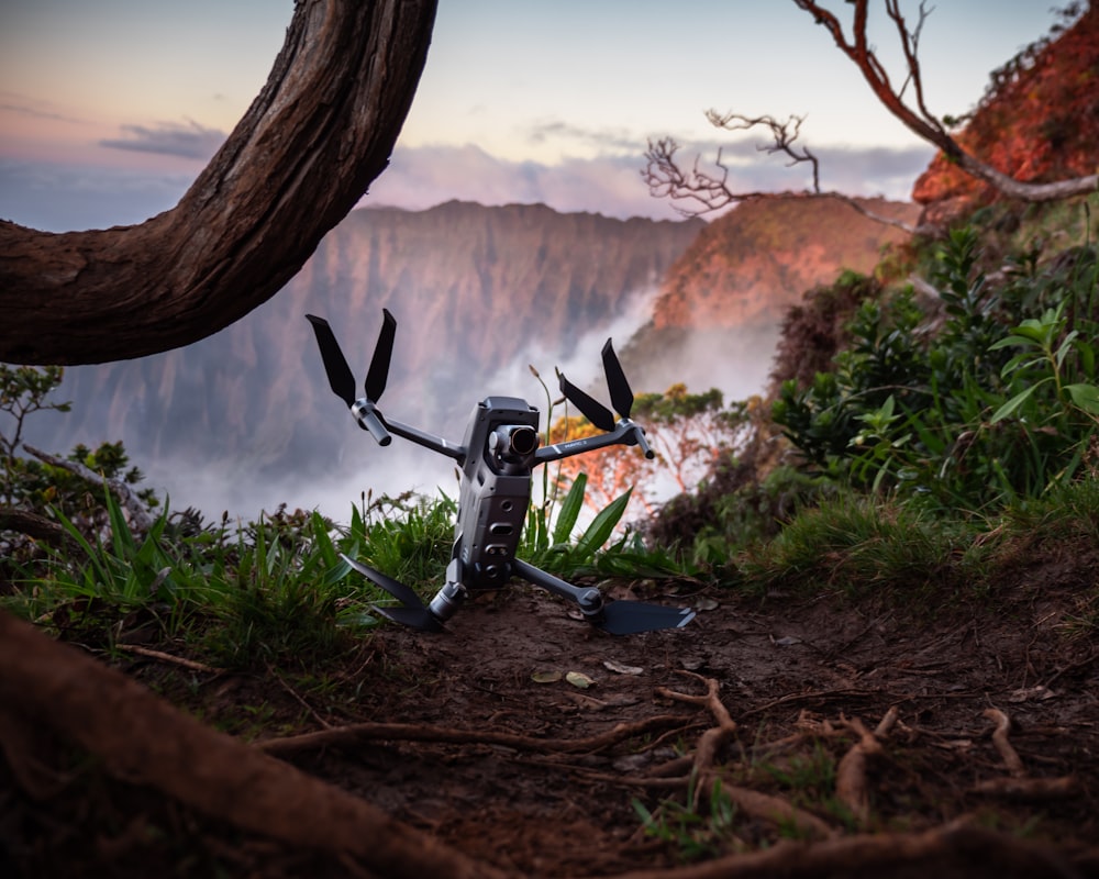 gray and black drone near tree roots