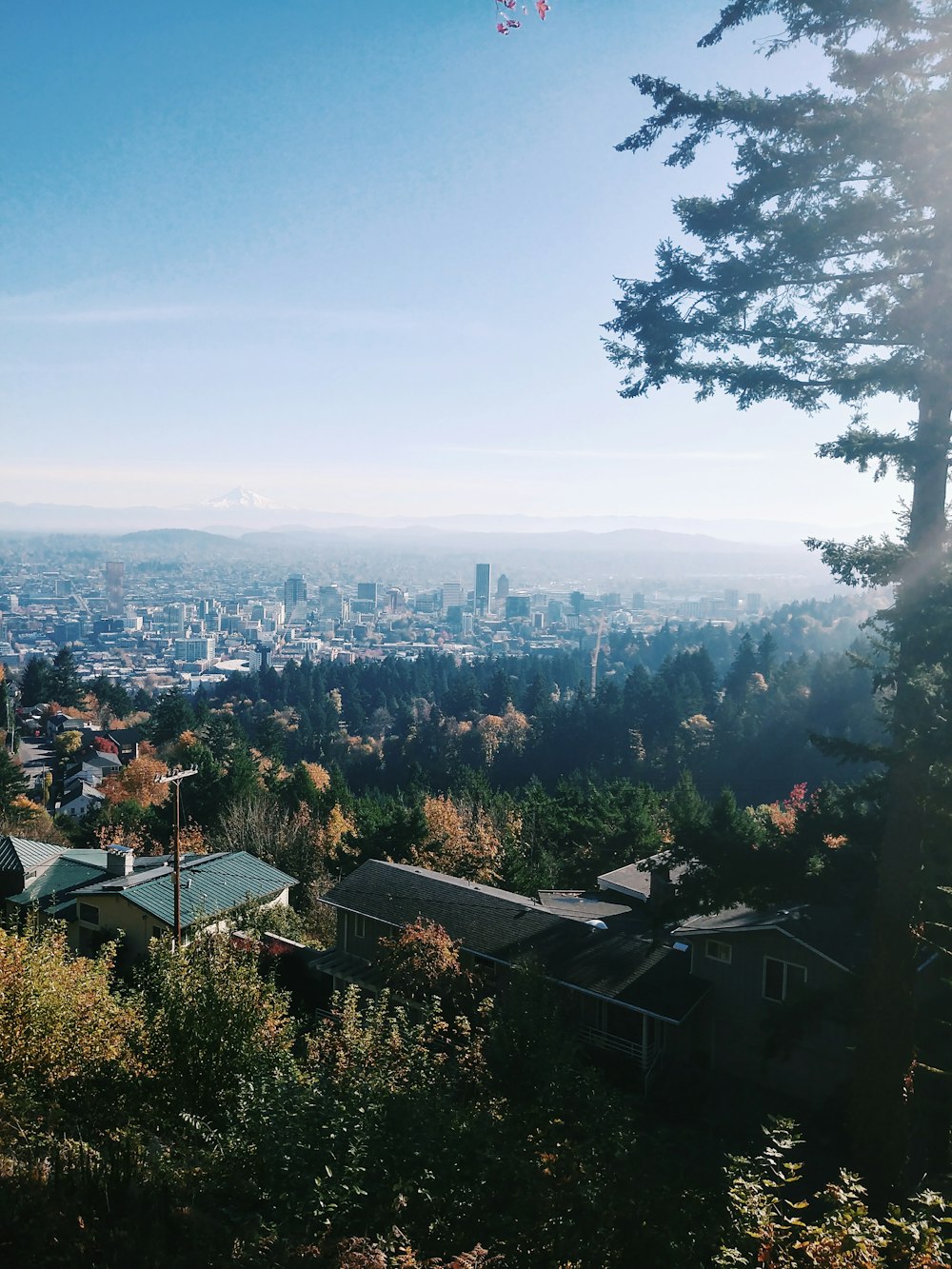 cityscape during daytime