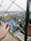 Smiling woman holding a lottery ticket with a city skyline in the background