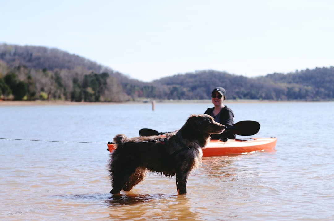 dog standing on shore near woman riding on orange canoe during daytime