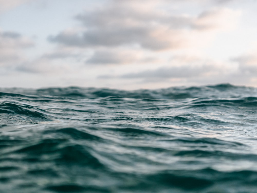 selective focus photo of beach