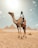 A person wearing a headscarf is riding a camel adorned with colorful decorations. In the background, the Pyramids of Giza are visible, set against a bright, sunny sky.