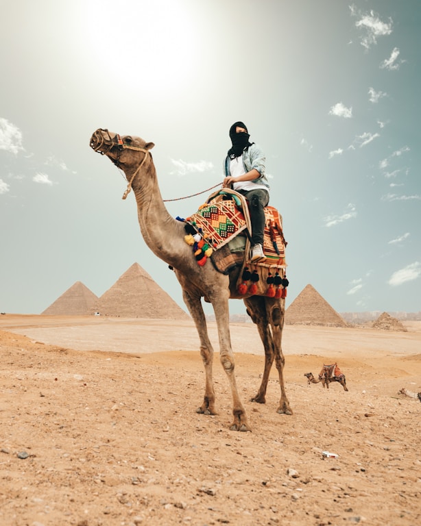 A friendly travel advisor assisting a family with their Egypt trip booking.
