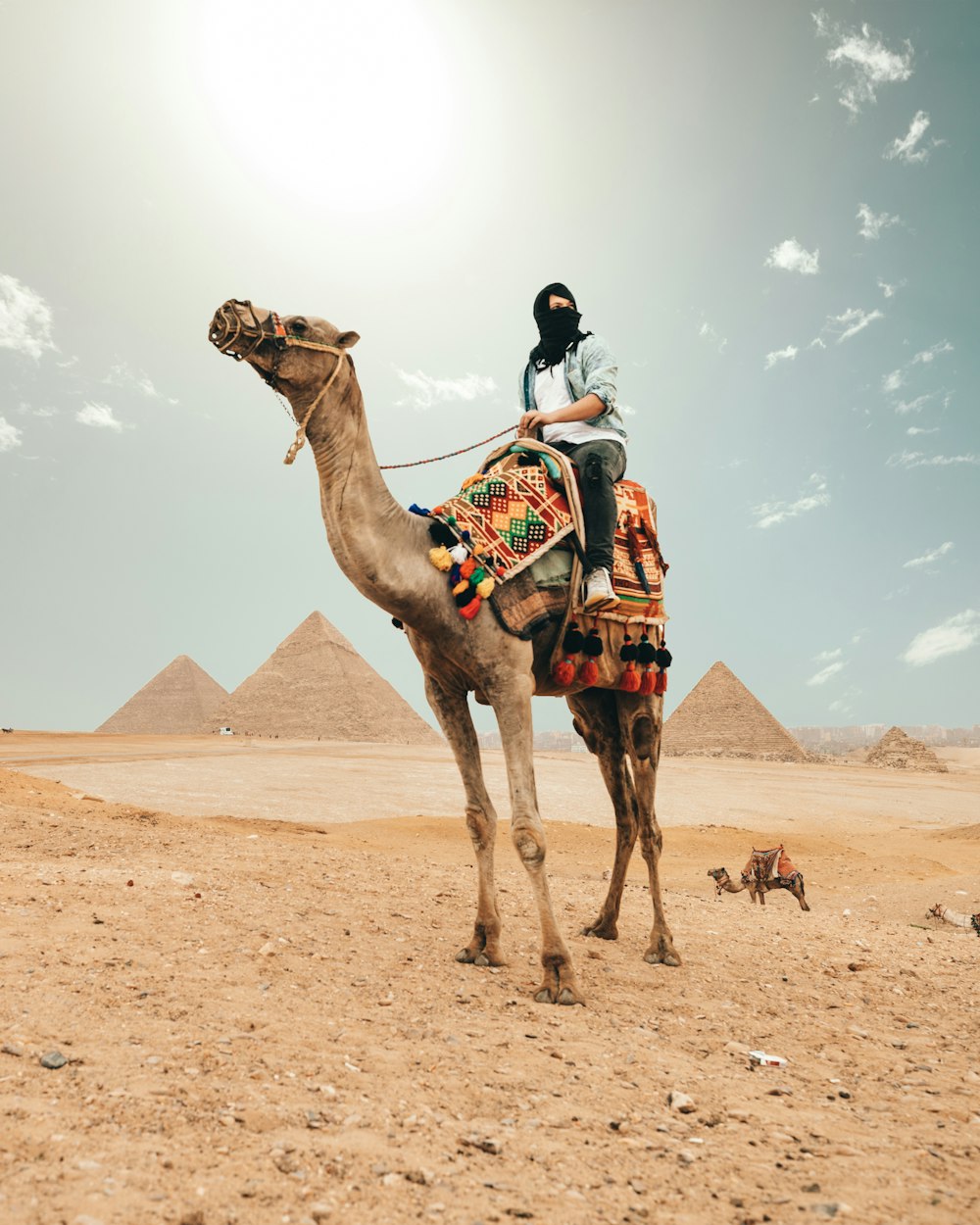 Person, die auf Kamel reitet