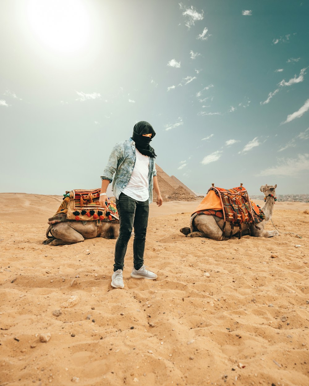 person standing on desert near resting camel