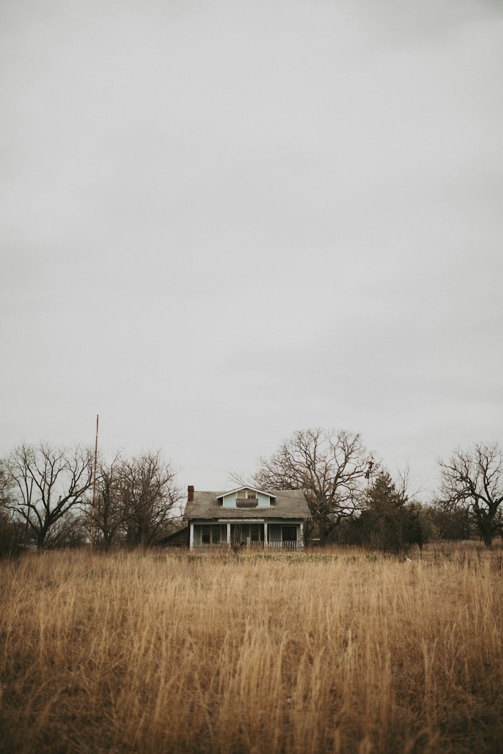 brown house on grass field