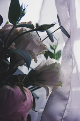 Detail of soft pink flowers arranged delicately on a treatment table, conveying care.