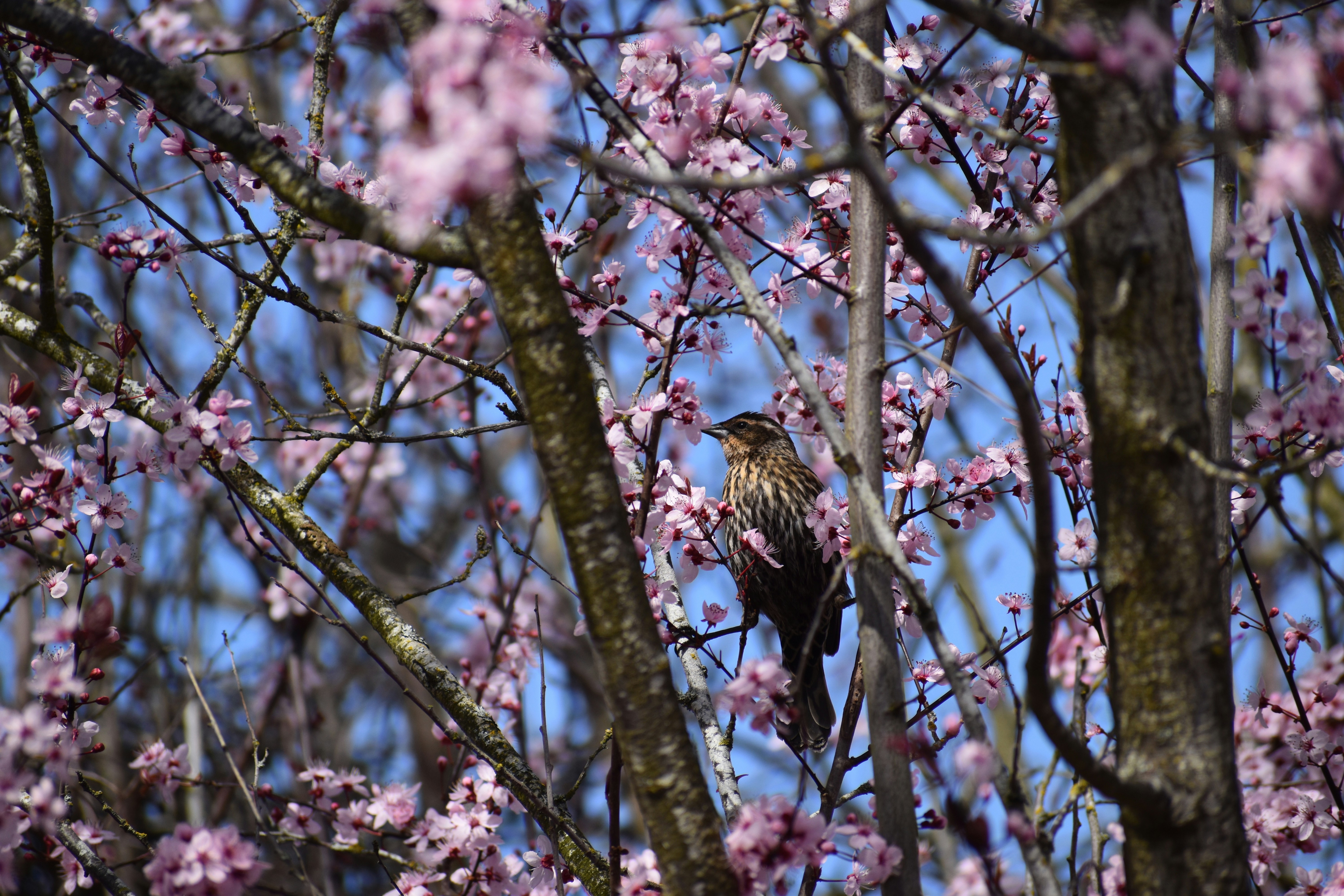 Photo by pictures102