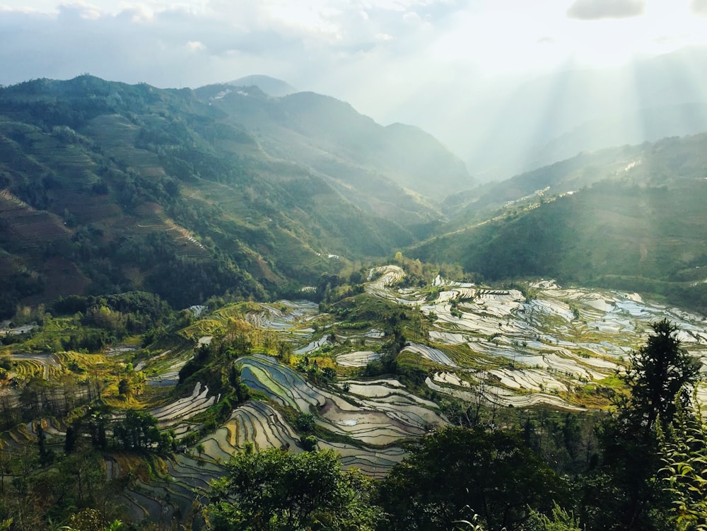 Fotografía aérea de formaciones rocosas rodeadas de árboles