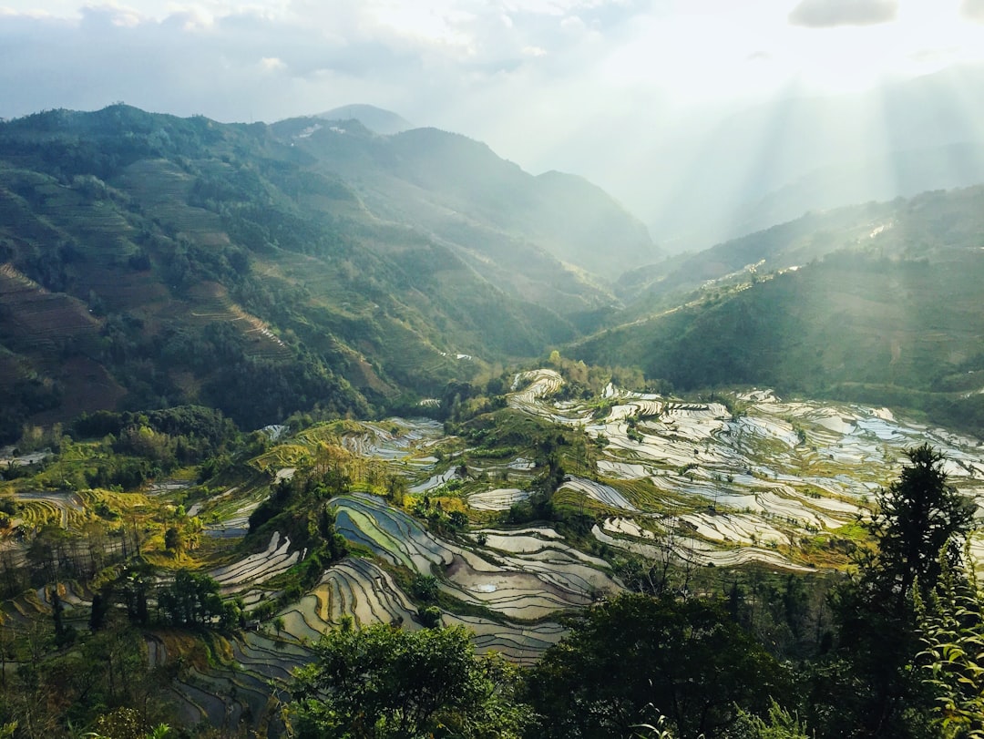 Hill station photo spot Yuanyang County, Yunnan China