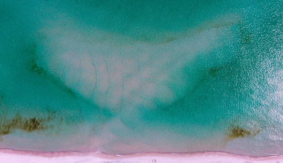 aerial photography of green water,