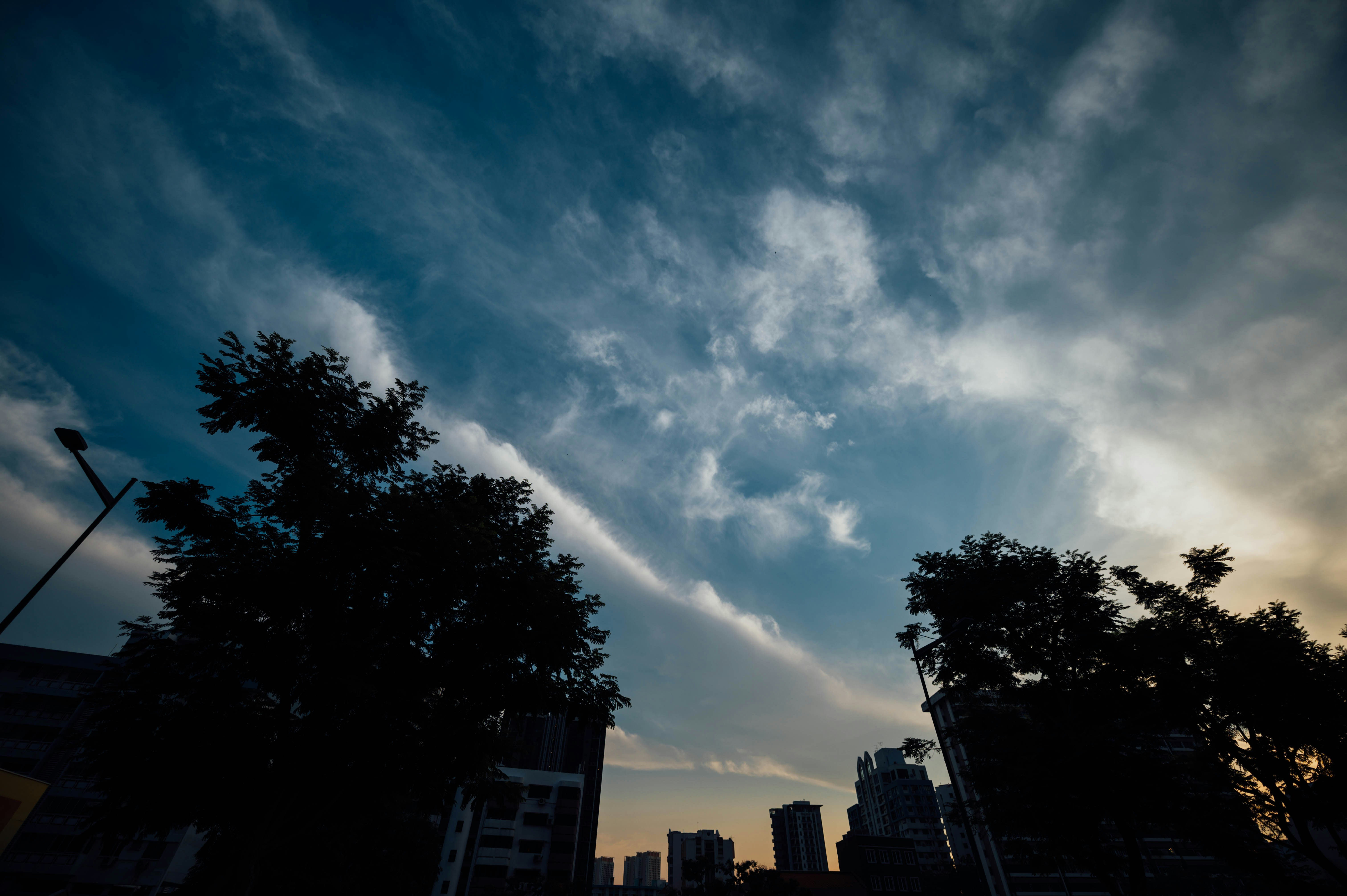 Photo by chuttersnap