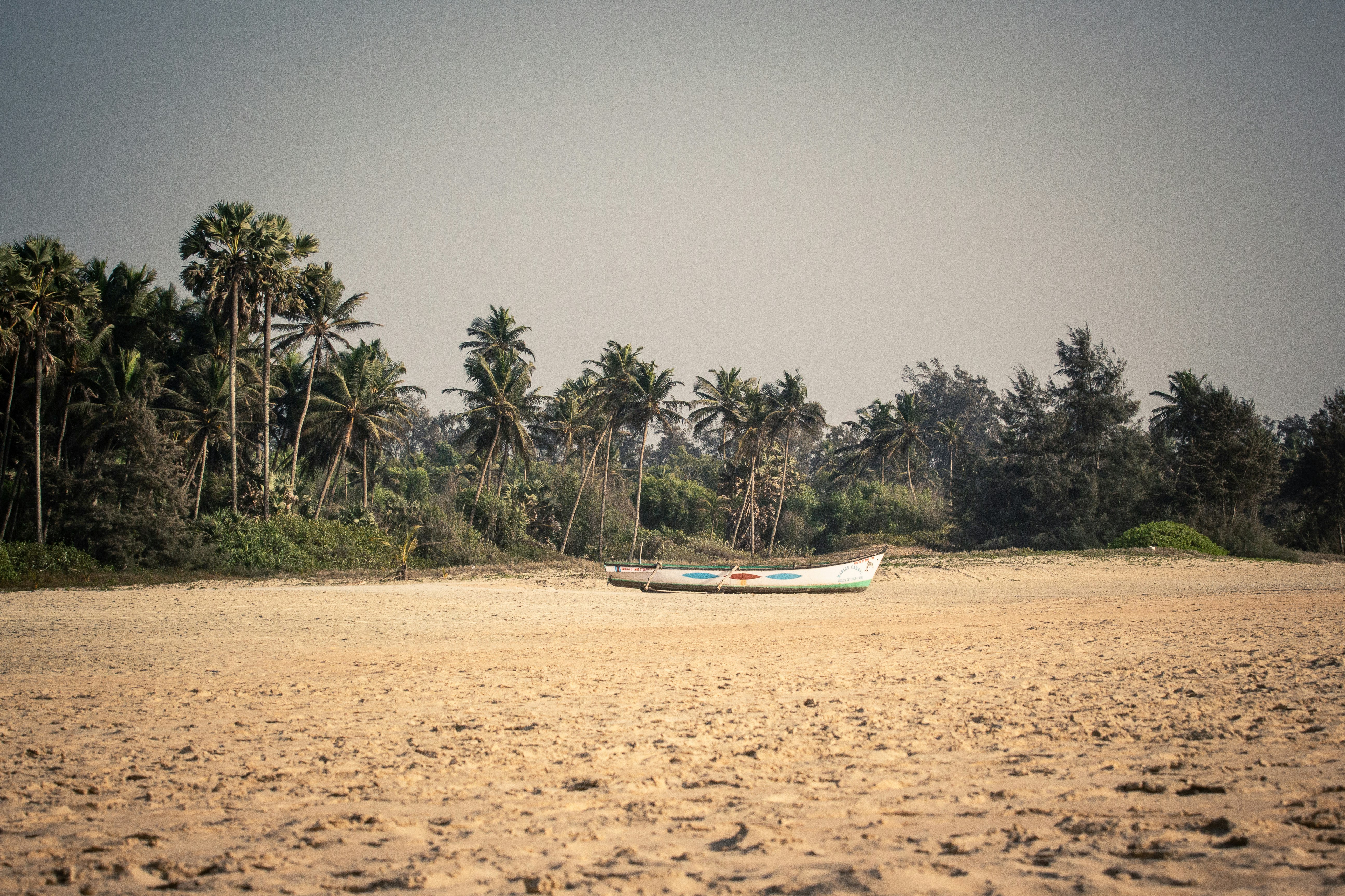 boat on barren land