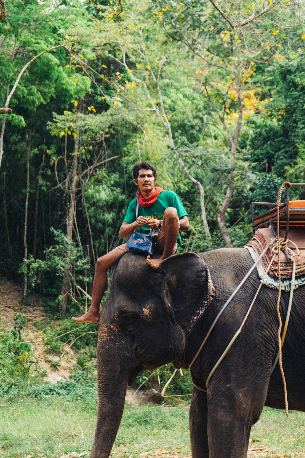 man riding gray elephant