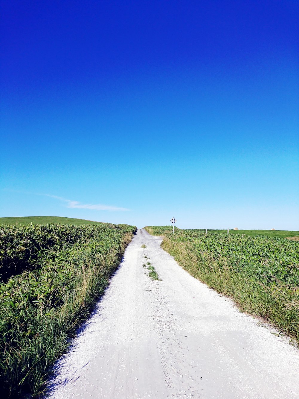 empty street in between of field