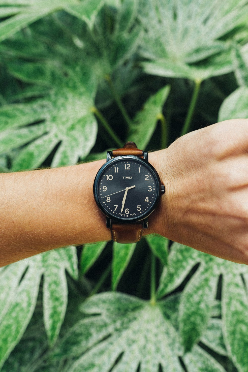 round black and brown analog watch