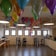A brightly lit room filled with an abundance of colorful balloons tied with white strings. The balloons are suspended from the ceiling, creating a festive atmosphere. The room contains several black chairs and tables with items on them. Large rectangular windows allow natural light to illuminate the space.