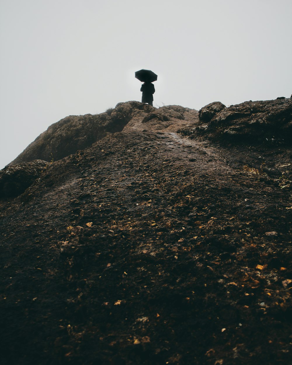 silhouette of person standing on hill holding umbrella