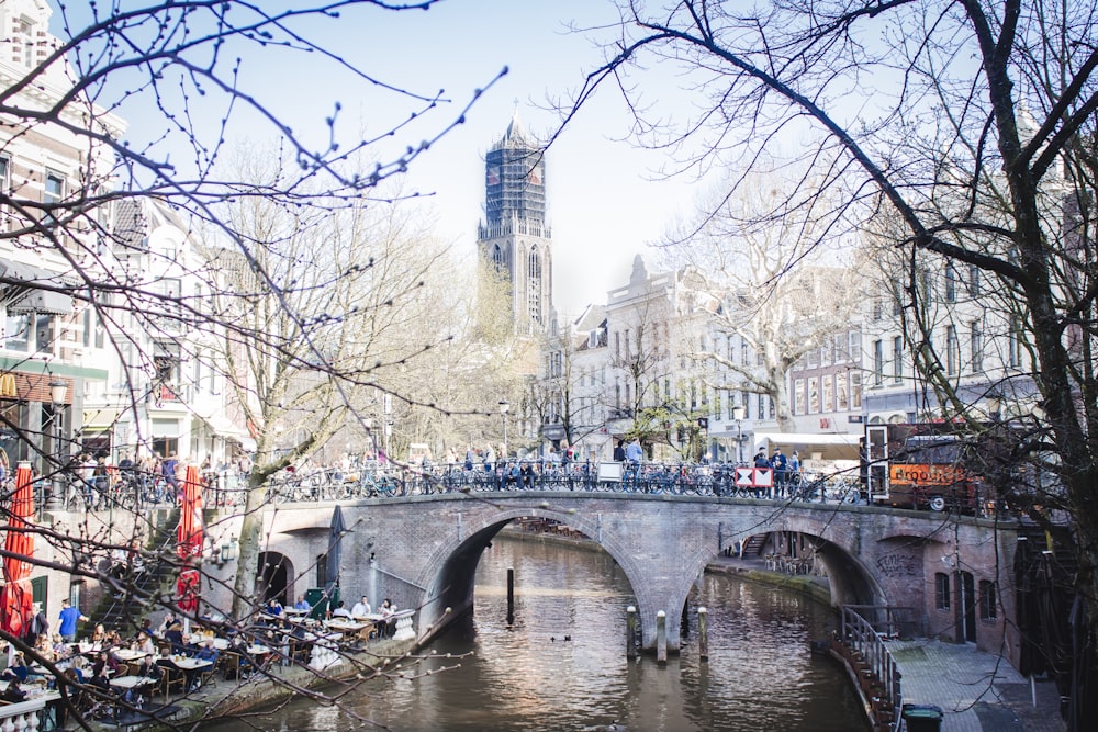 people on bridge on body of water