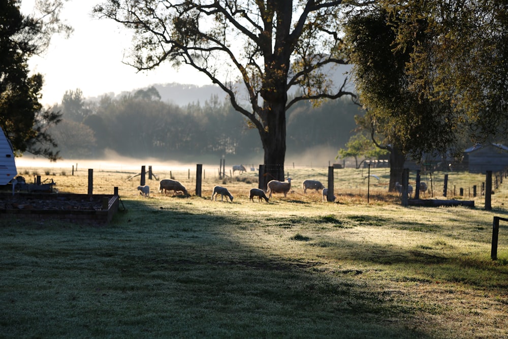 brown tree surrounded by animals