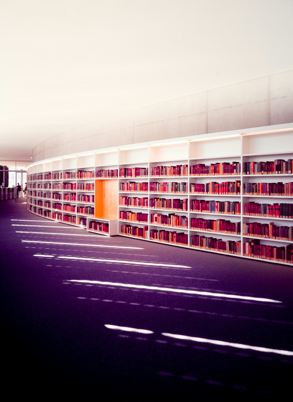 libreria in legno bianco