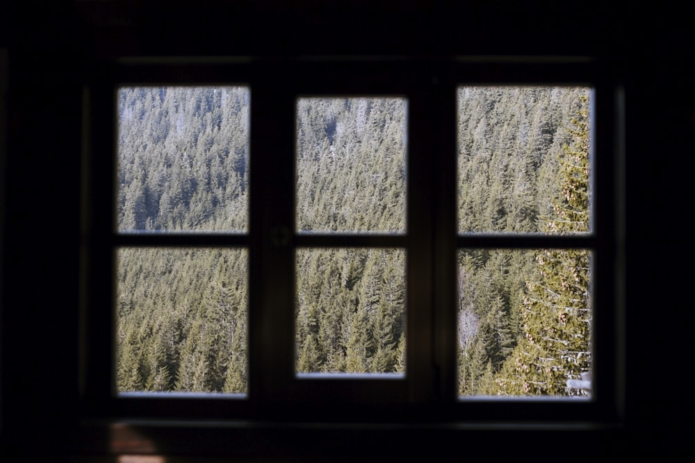 window with green trees