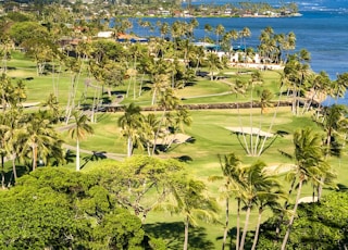 bird's eye view of land