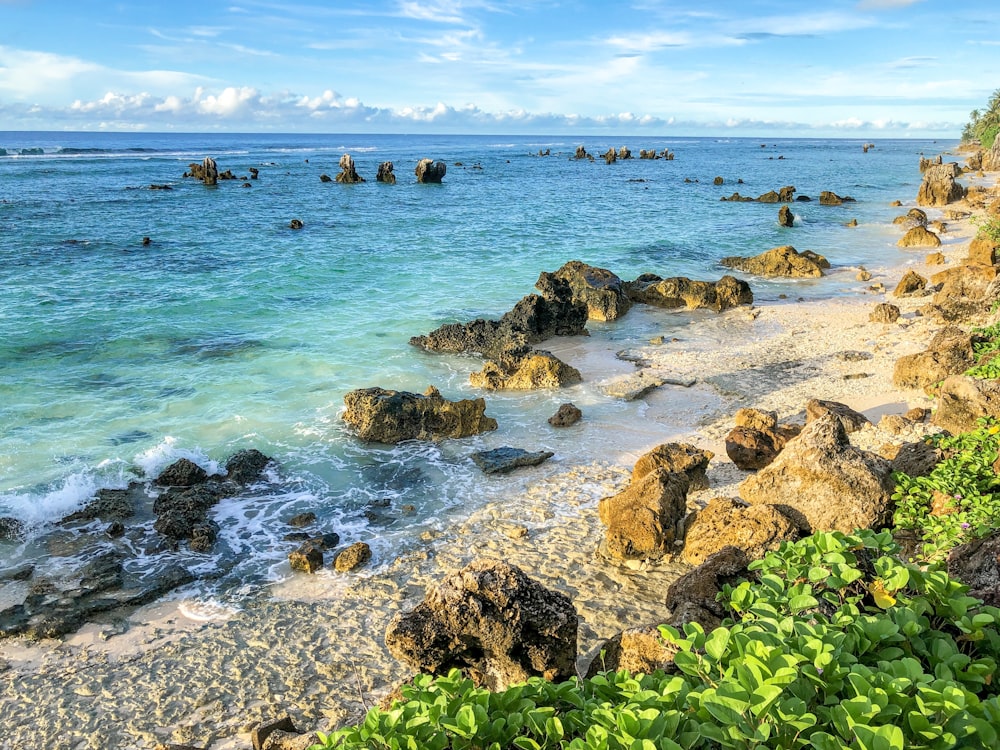 sea water and rocks by the beach coast during daylight