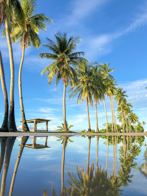 What to See in Nauru: A Compact Travel Guide