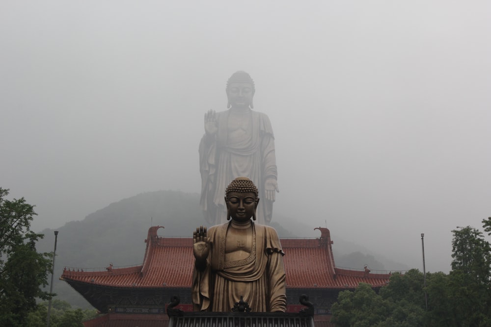 landscape photography of Buddha statue