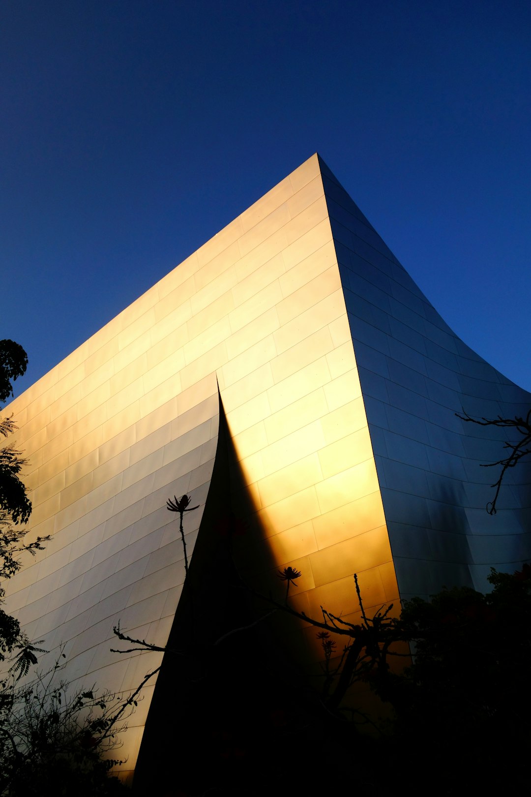 white concrete building