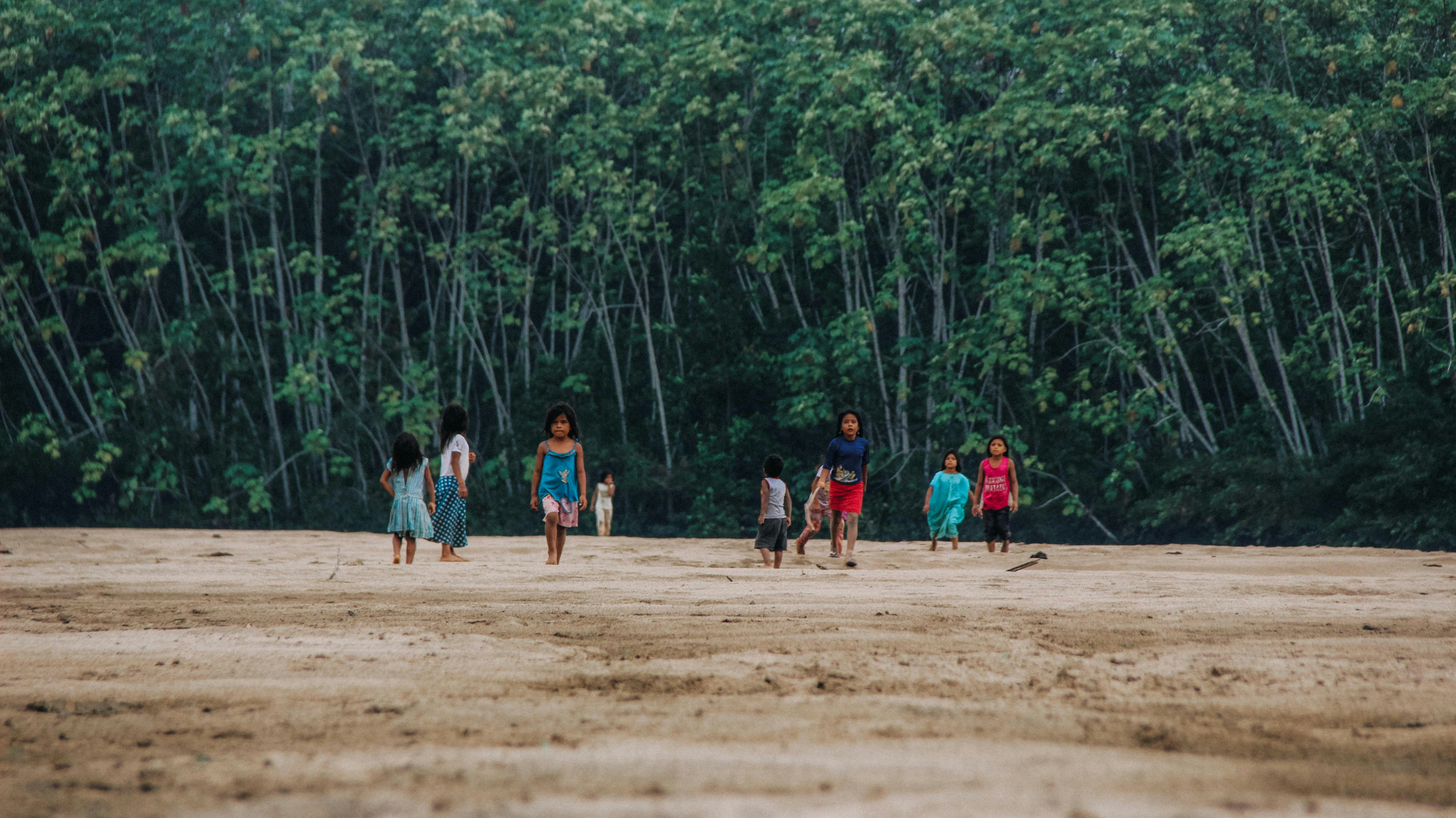 children walking near tree field during daytime