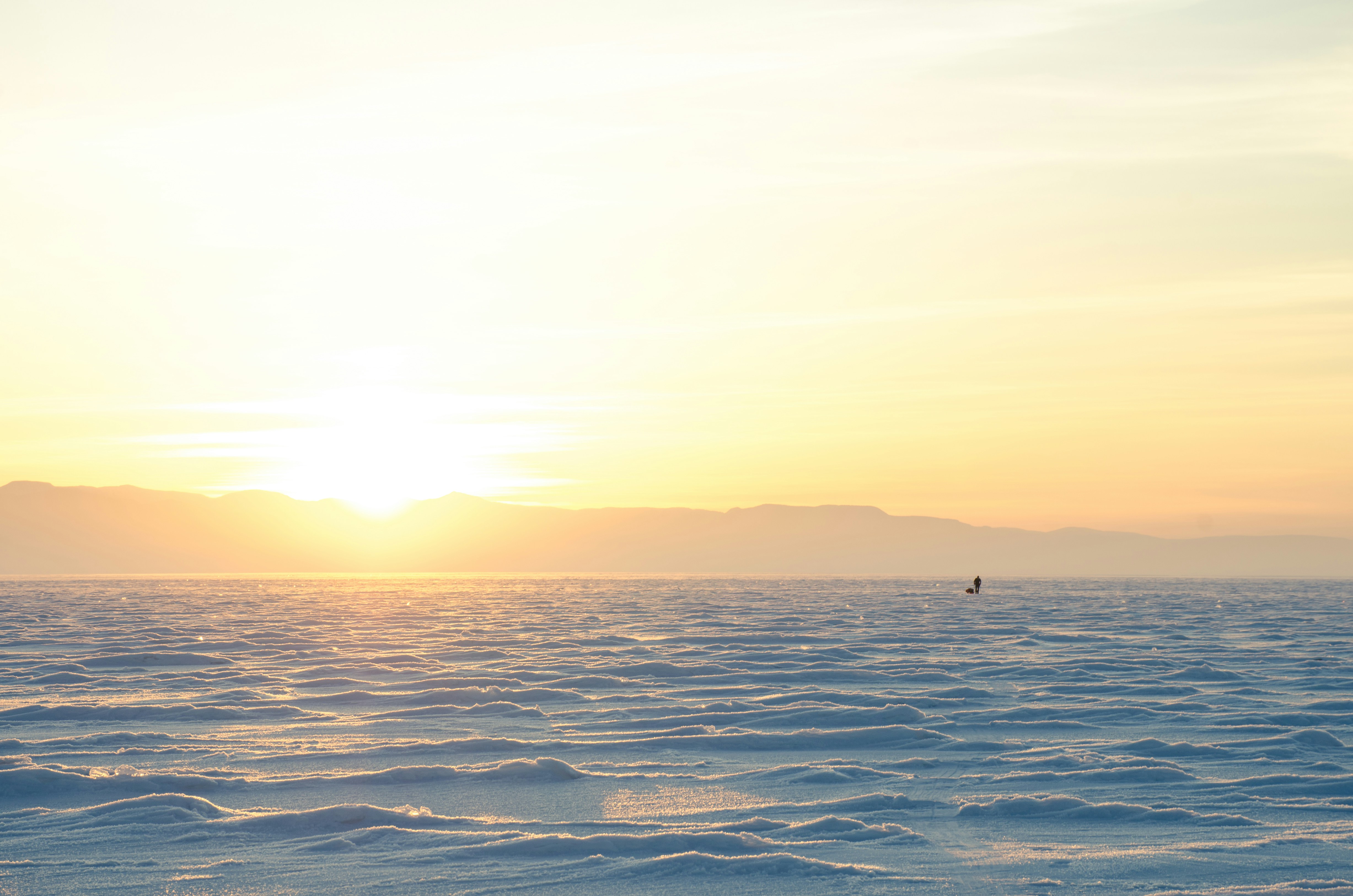 【 DevOps 】部署 MongoDB 版的網頁到 Heroku