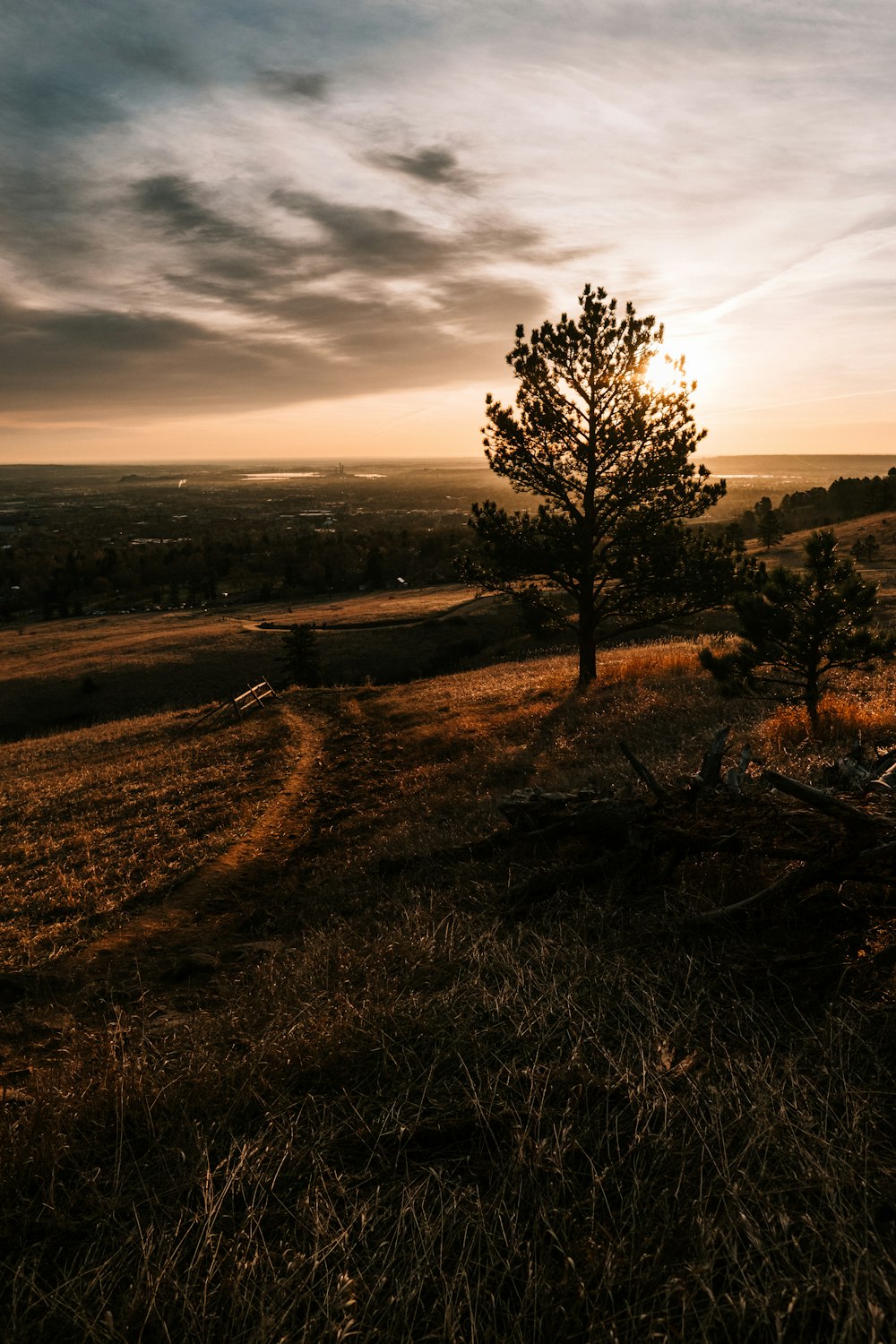 landscape photography of green grass field