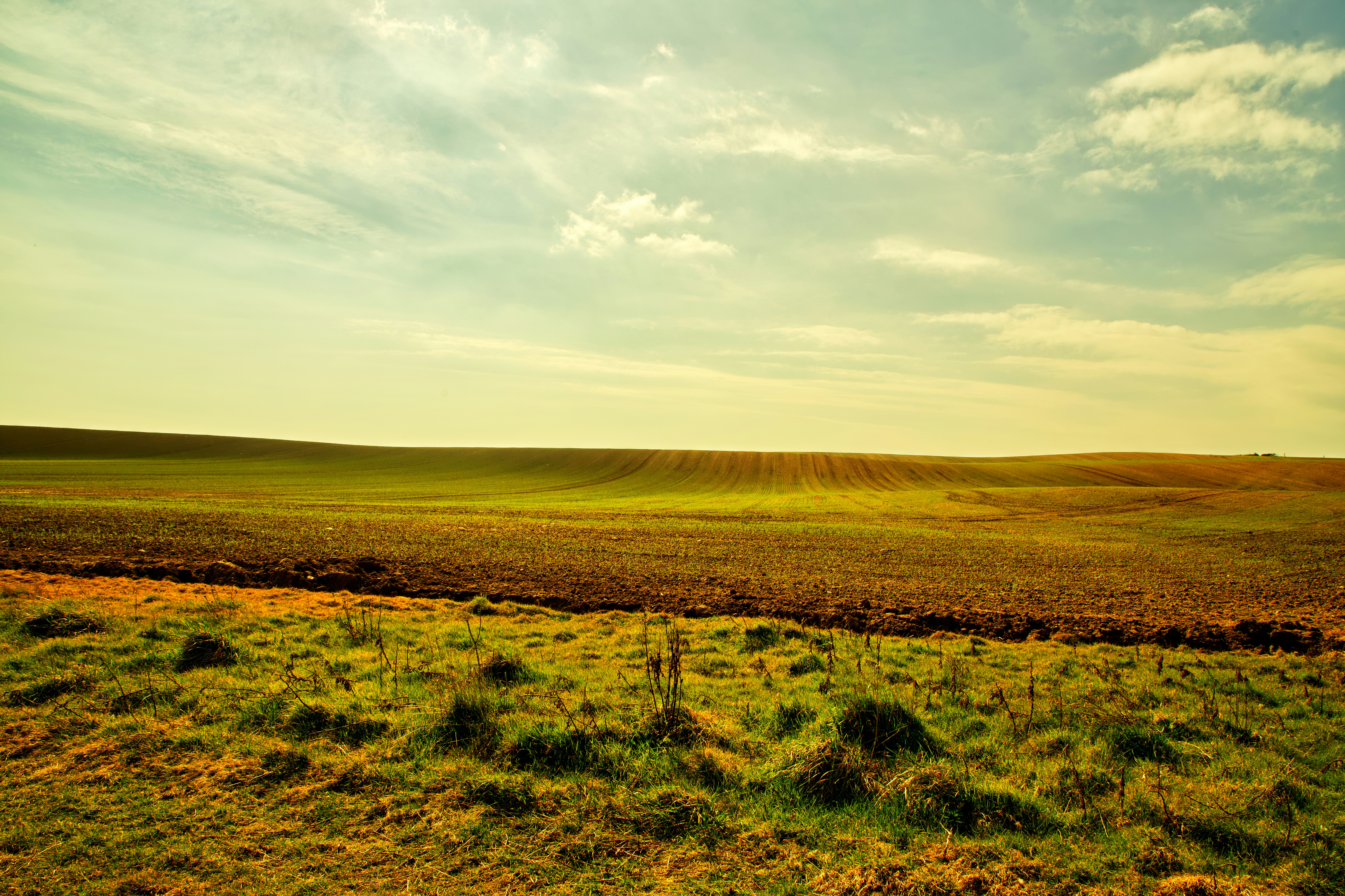 Photo by davelowephoto