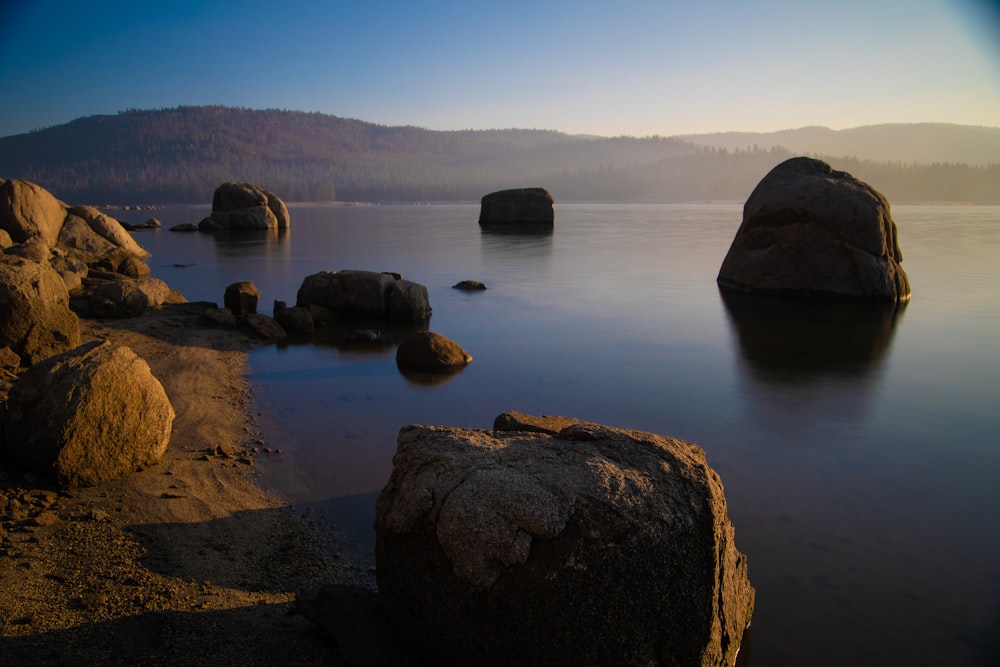 brown rocks in beach